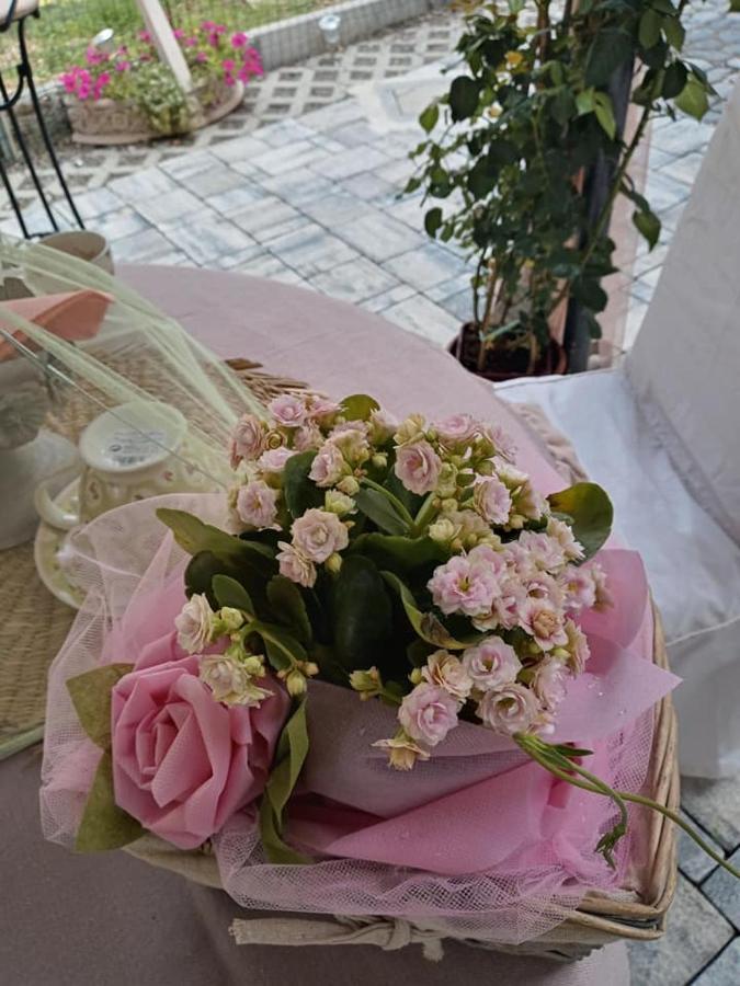 Bb Lady Bed & Breakfast Castelvetro di Modena Bagian luar foto